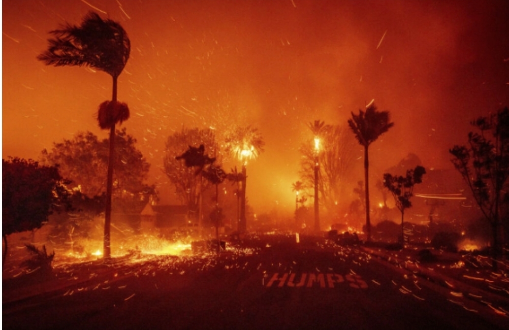 Los-Ancelesdə meşə yanğınları rekord səviyəyə çatıb.