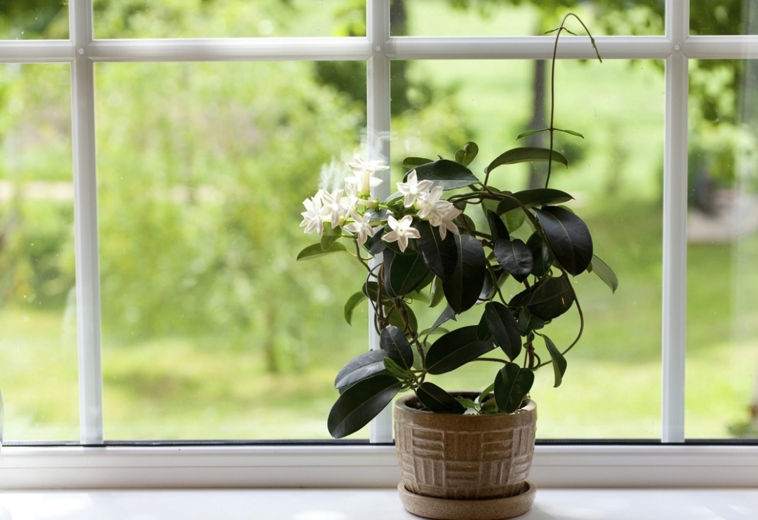 Yay aylarında bir çox insan elektrik enerjisi xərclərini artırmadan evlərini sərin saxlamağın yollarını axtarır