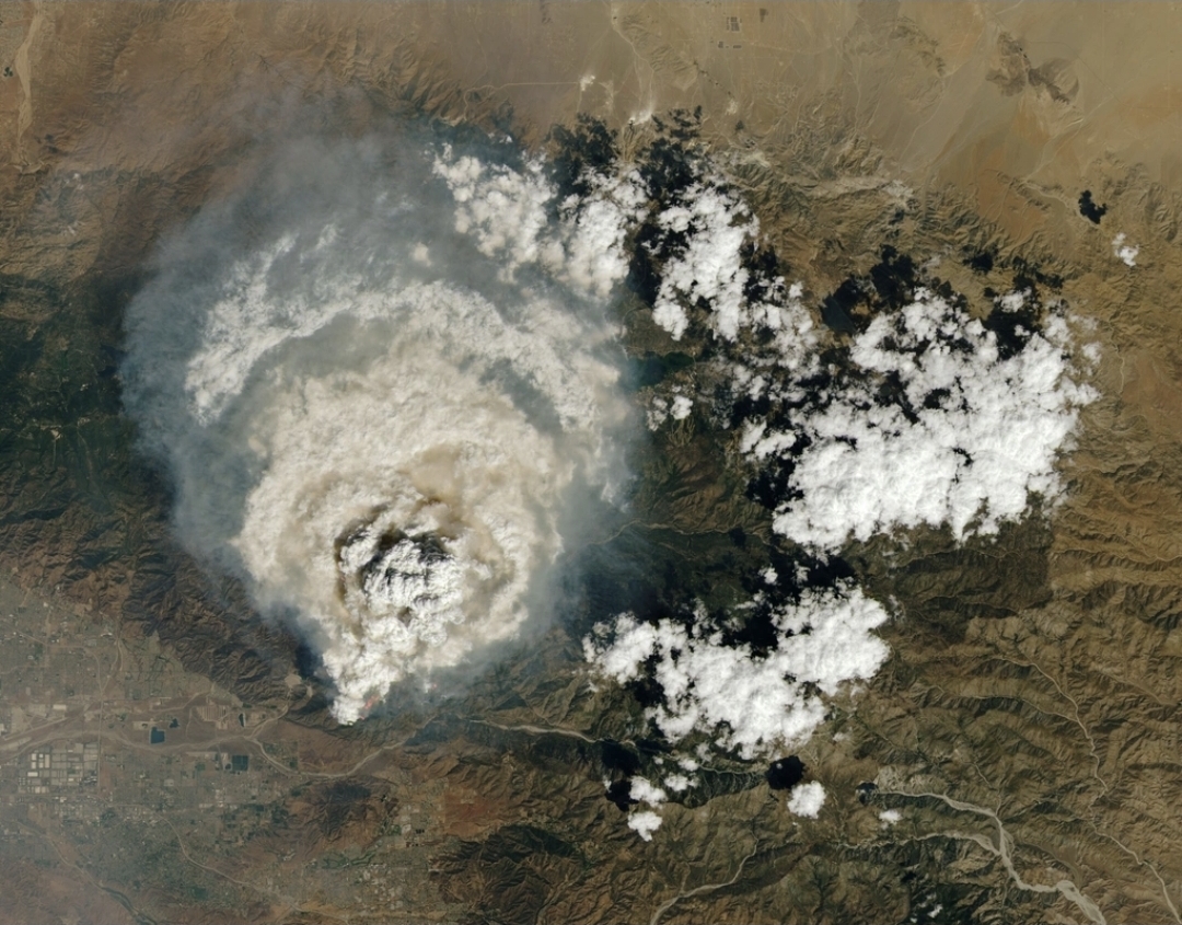 İqlim paradoksu: Kütləvi meşə yanğınlarının planet üçün faydası