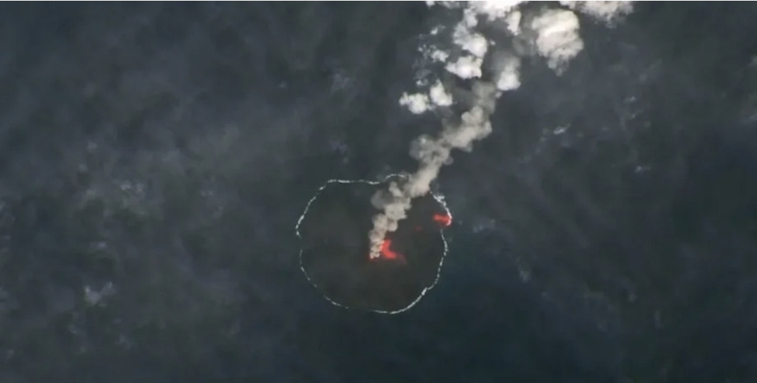 Fəlakət uzaq bir adada həyatı məhv etdi - Ancaq gözlənilməz hadisə alimləri təəccübləndirdi