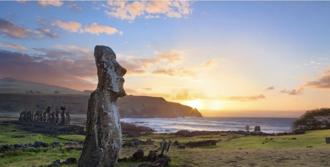 Əlli il əvvəl tapılan bakteriya qocalma əleyhinə dərmana çevrildi