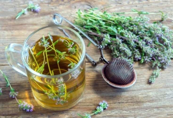 Kəklikotunun faydaları