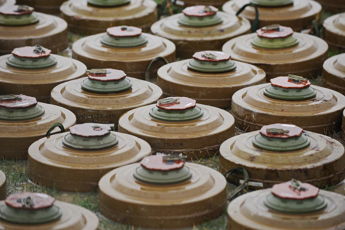 Polşa piyada əleyhinə minaların istehsalını bərpa edir