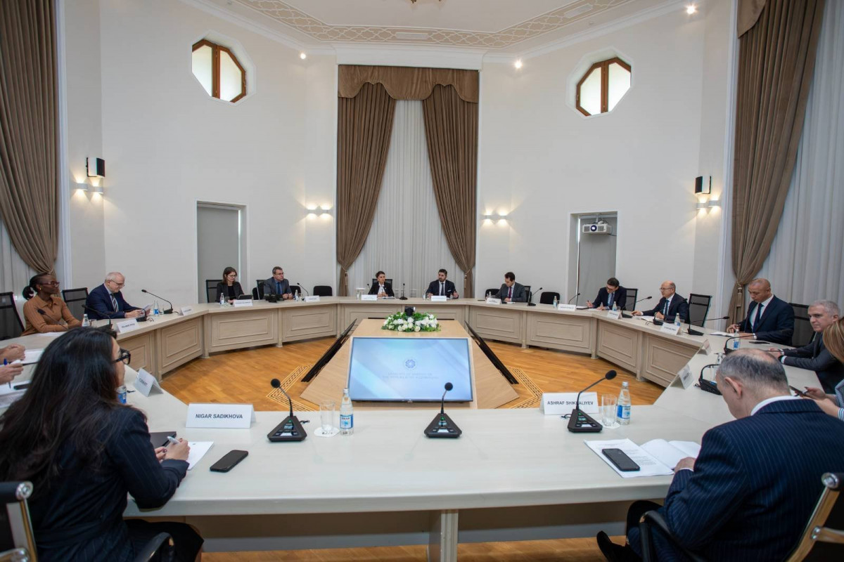 Sahibə Qafarova BƏƏ-yə səfər edib