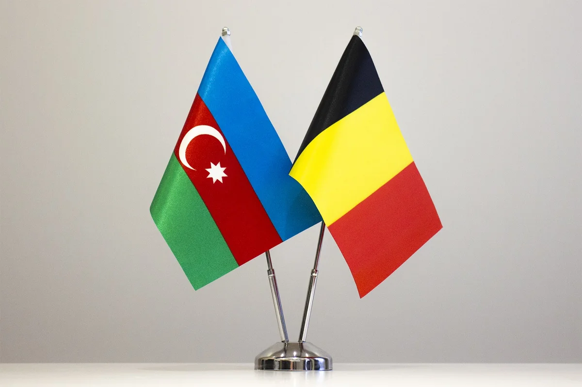 Belçika səfirliyi Naxçıvana hücumu pisləyib