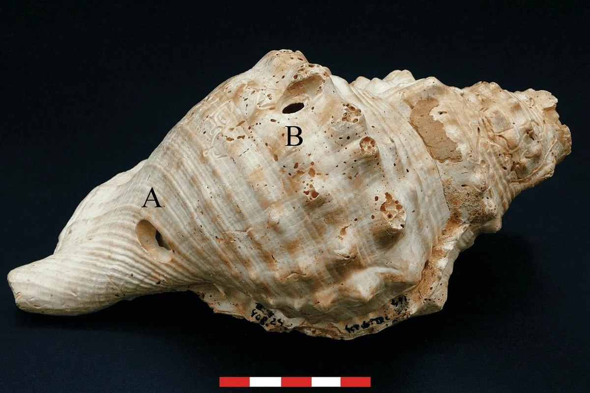 Dünyanın ən qədim musiqi alətlərindən biri tapıldı