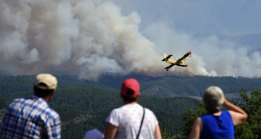 Türkiyə təyyarəsinin qəzaya uğramasının səbəbi bilindi