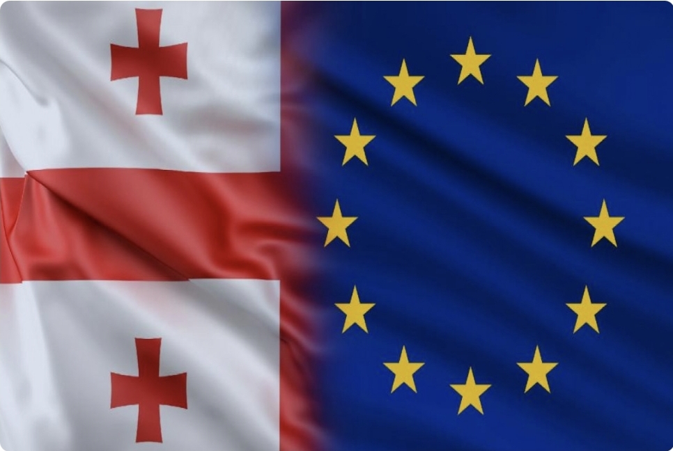 Aİ Gürcüstanla insan haqları üzrə dialoqu təxirə salıb