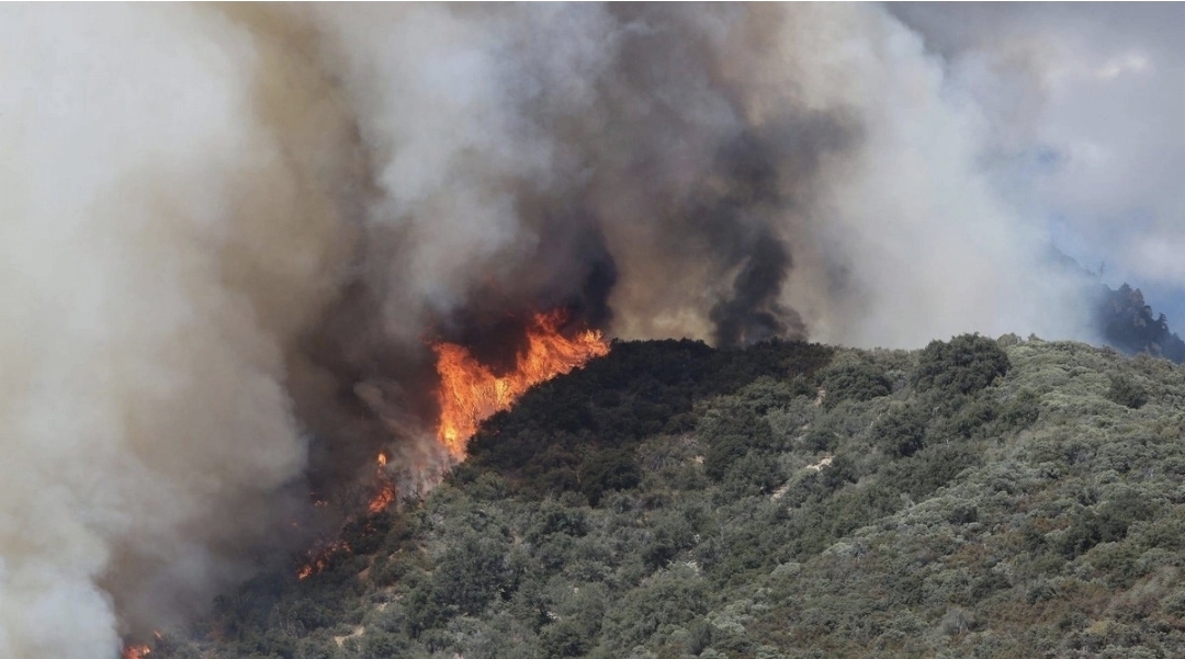 İranda meşə yanğınları genişlənir