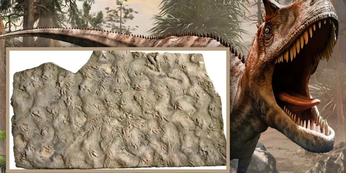 Çində 200 milyon illik dinozavr izləri aşkarlandı
