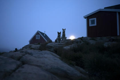 Tramp Qrenlandiyanı işğal etmək istəyir?