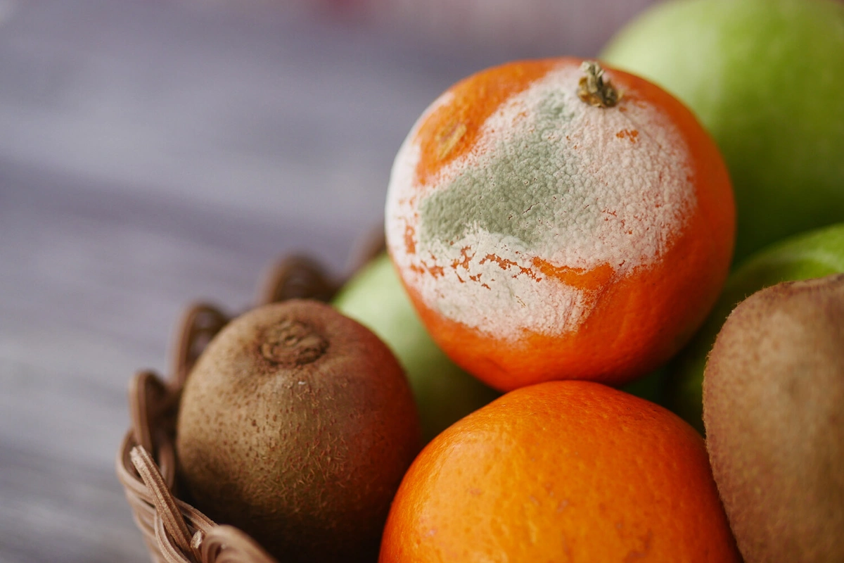 Meyvə-tərəvəz niyə tez xarab olur? - Mətbəxdə edilən ən yayğın səhv